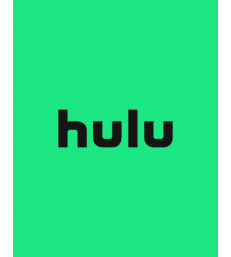 Hulu 100 USD